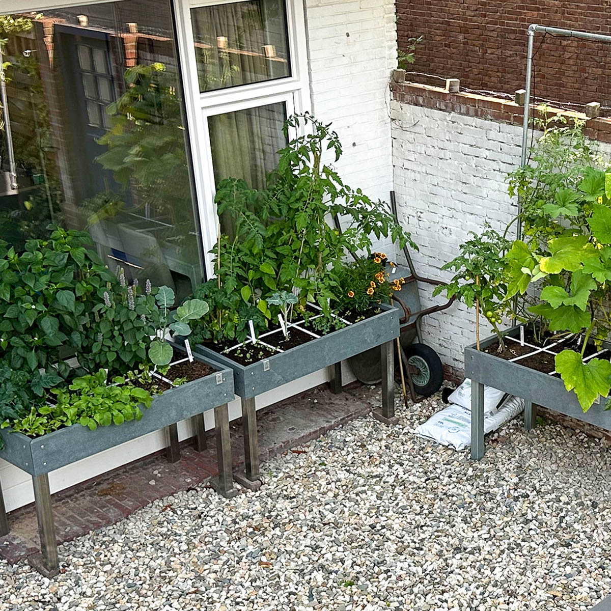 Startpakket Augustus - Tafel 8 vakken met waterreservoir