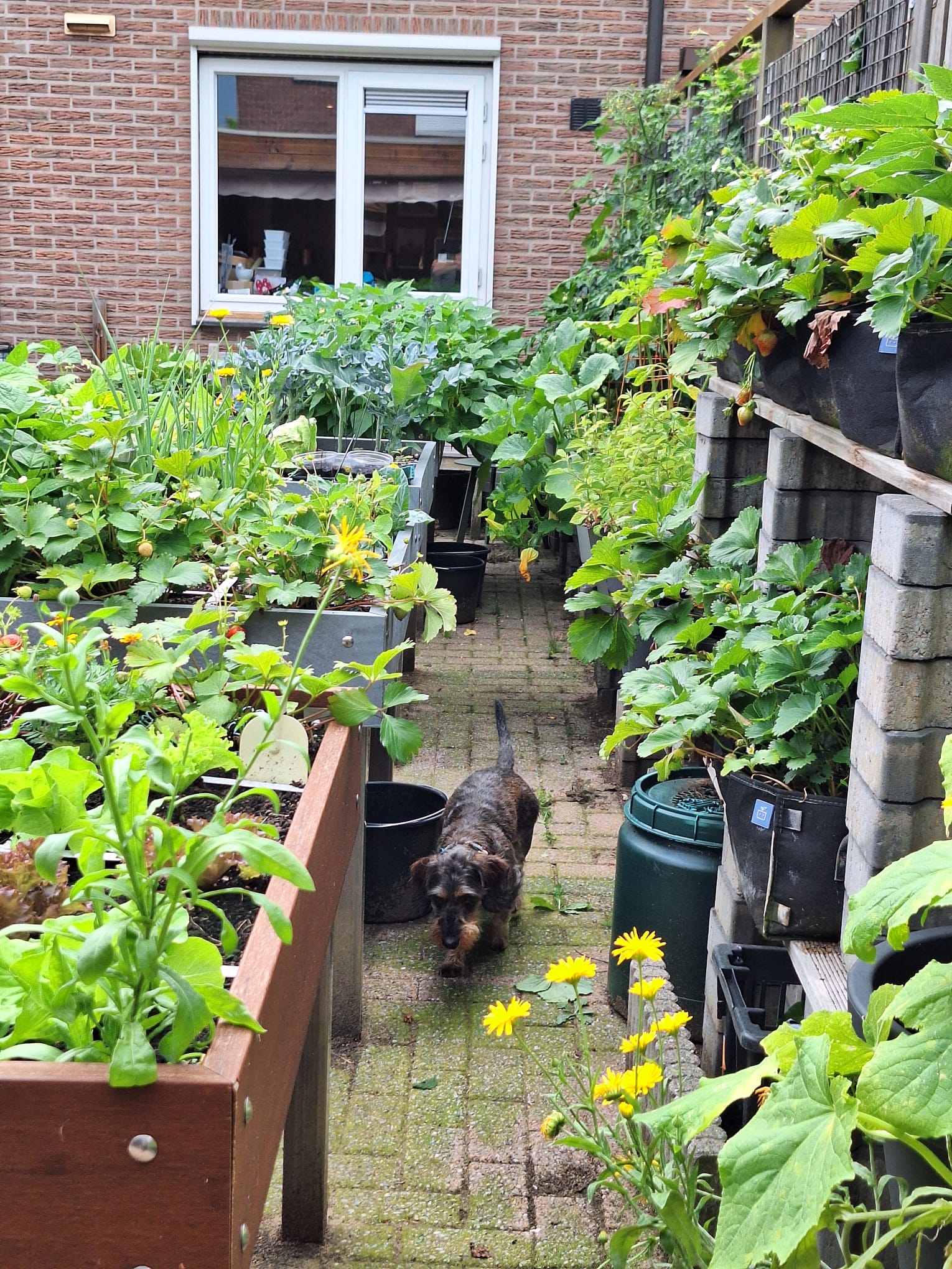 Afbeelding-van-WhatsApp-op-2025-07-26-om-16.17.08_e2573bff.jpg