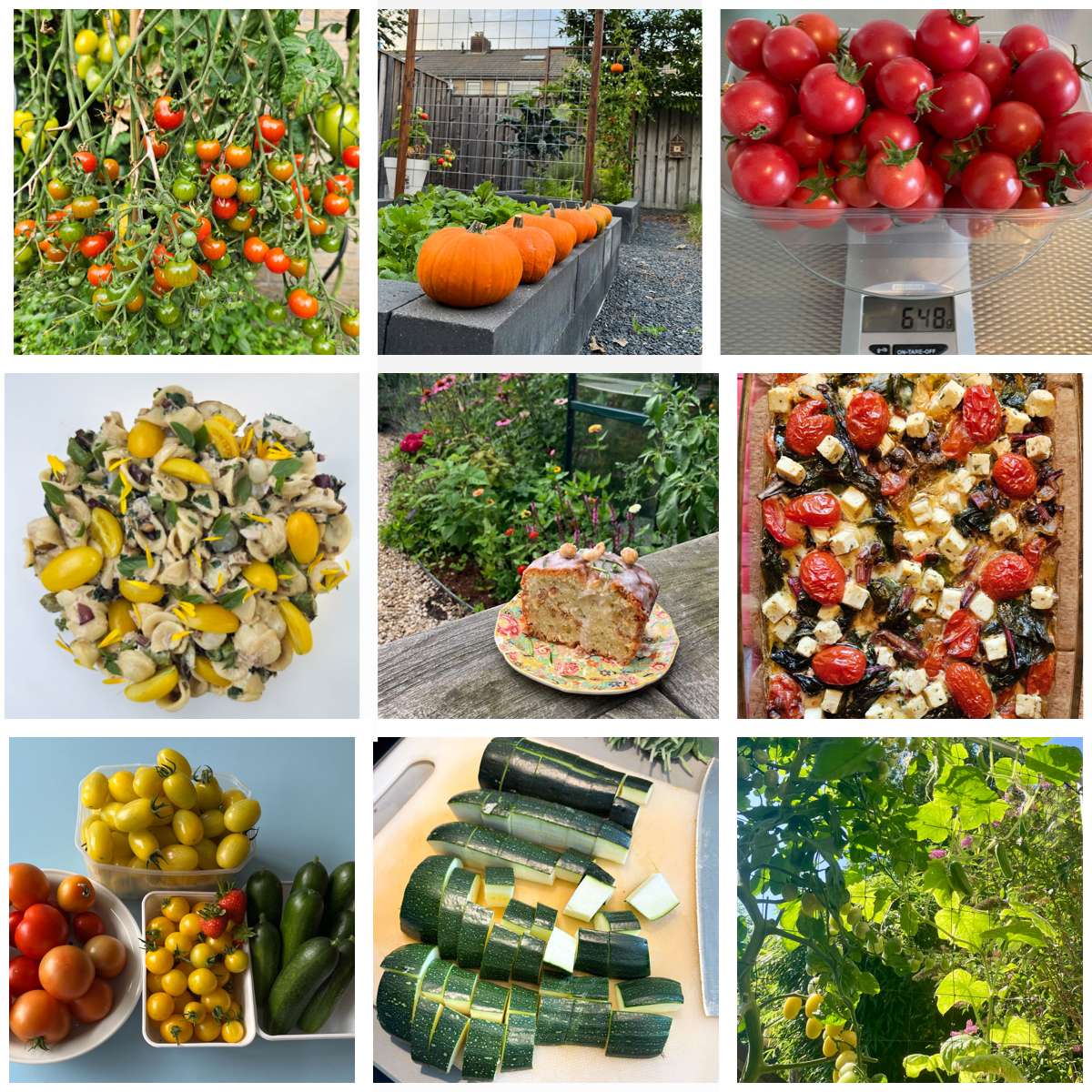 Zomaar wat foto's uit de Makkelijke Moestuin community