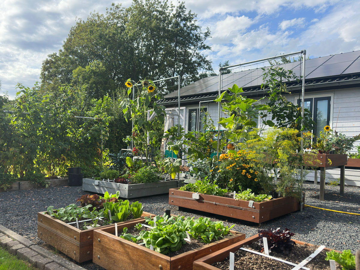 Makkelijke Moestuin begin september