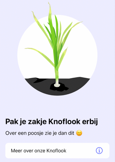 Image of garlic in the Makkelijke Moestuin app.