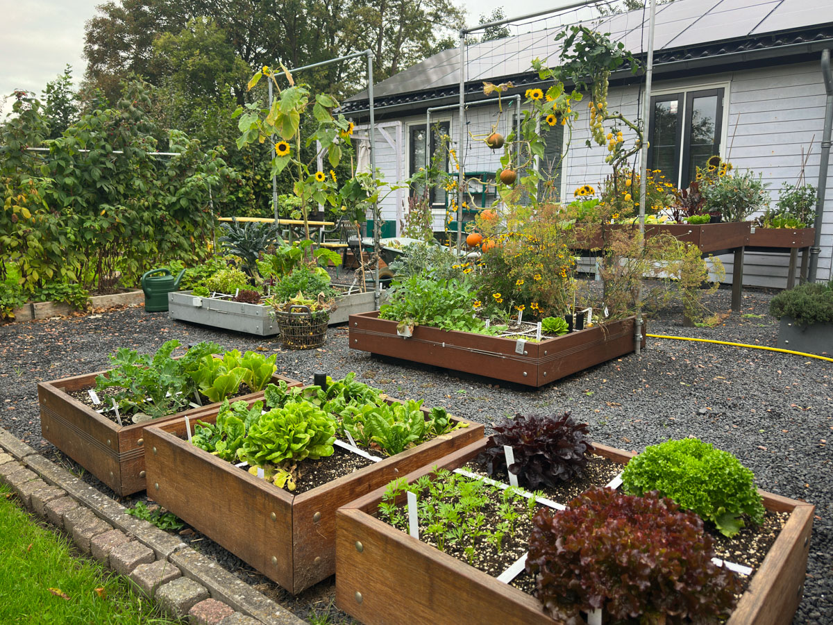 Herfst in de moestuin - eind september