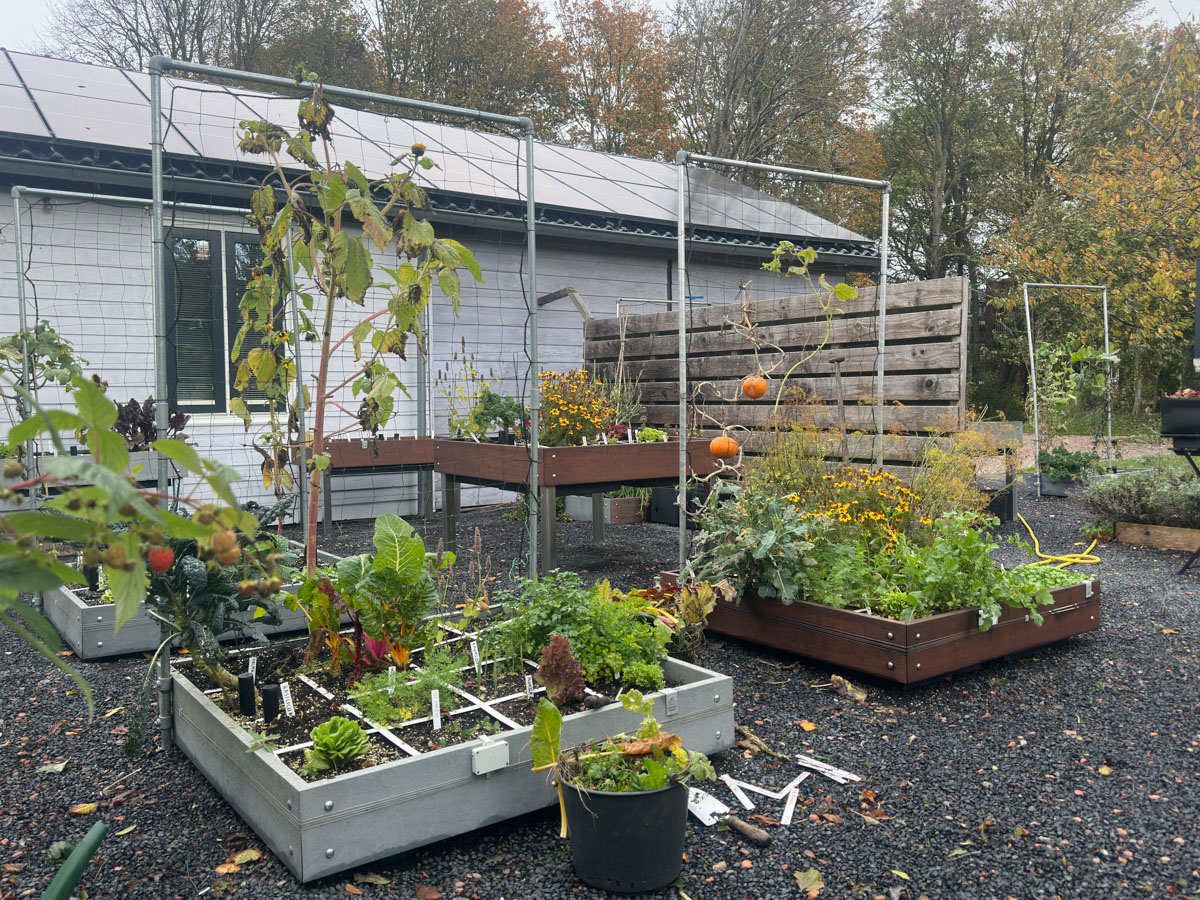 De Makkelijke Moestuin klaarmaken voor de winter