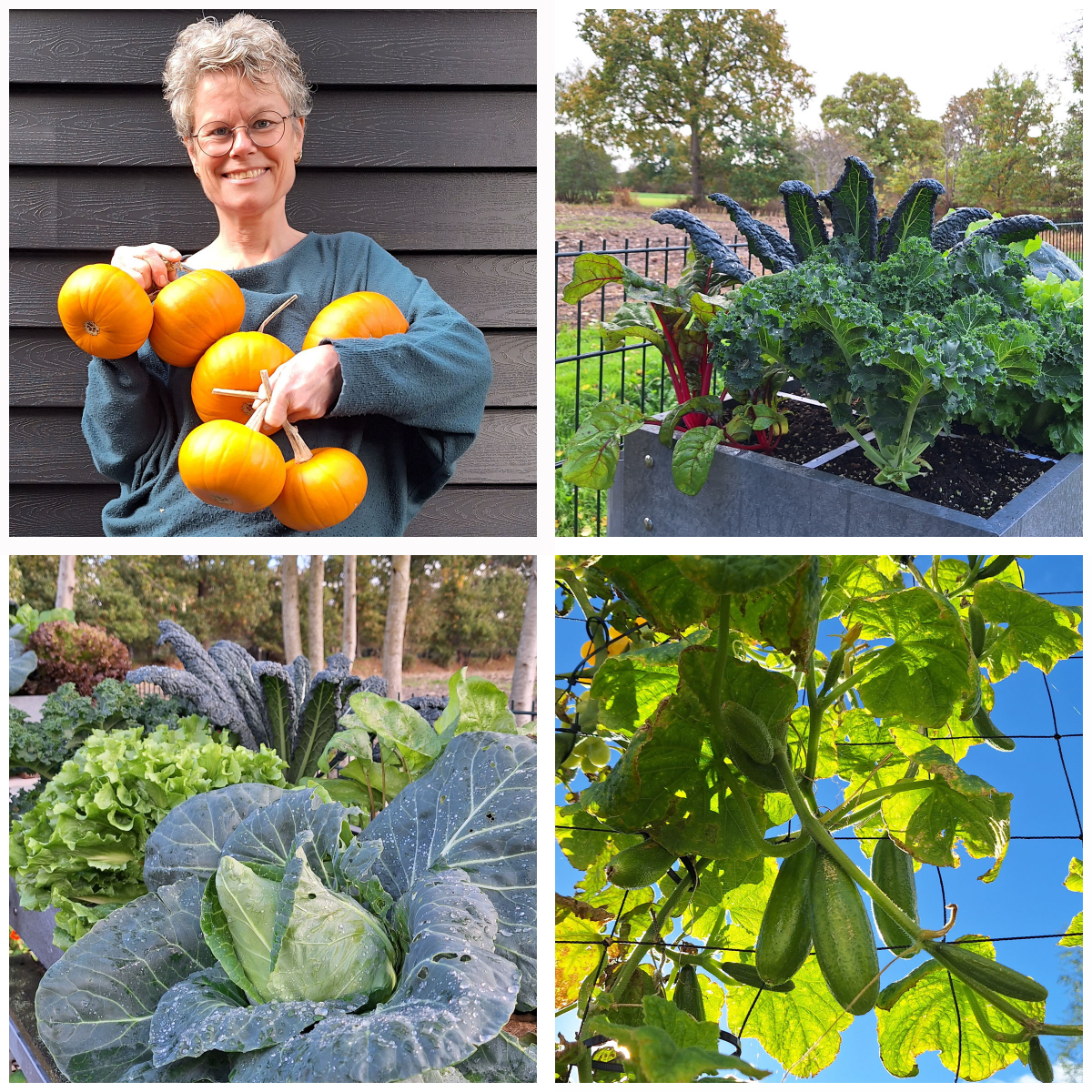 Sonja's MM-bakken eind oktober (foto's SonjaMM) 