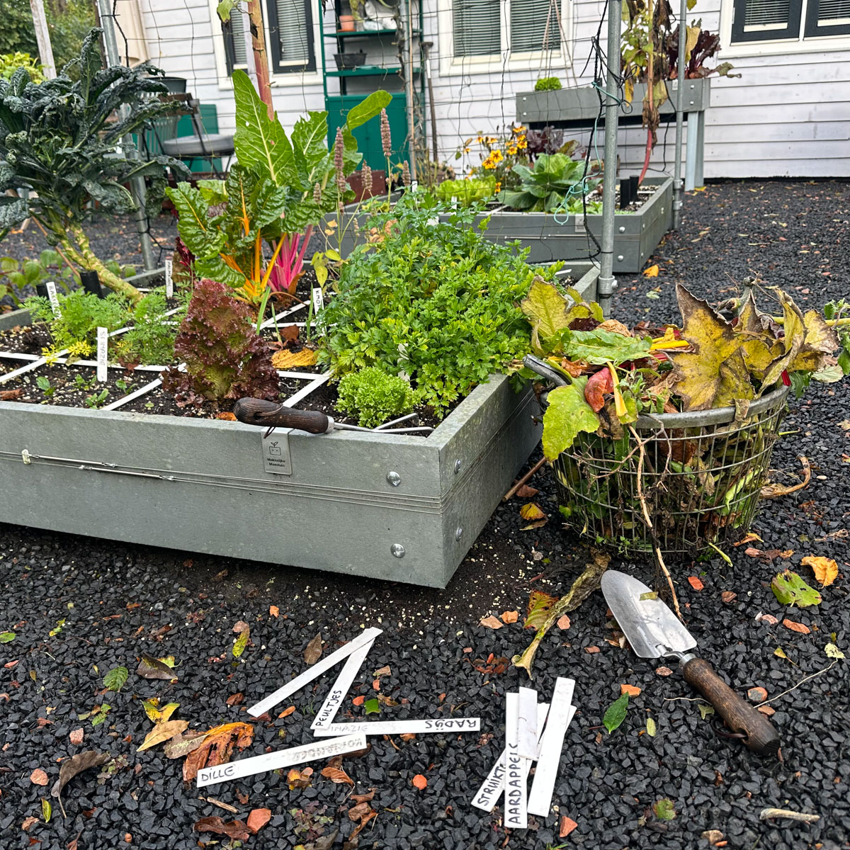De Makkelijke Moestuinbakken winterklaar maken - tussen de buien door