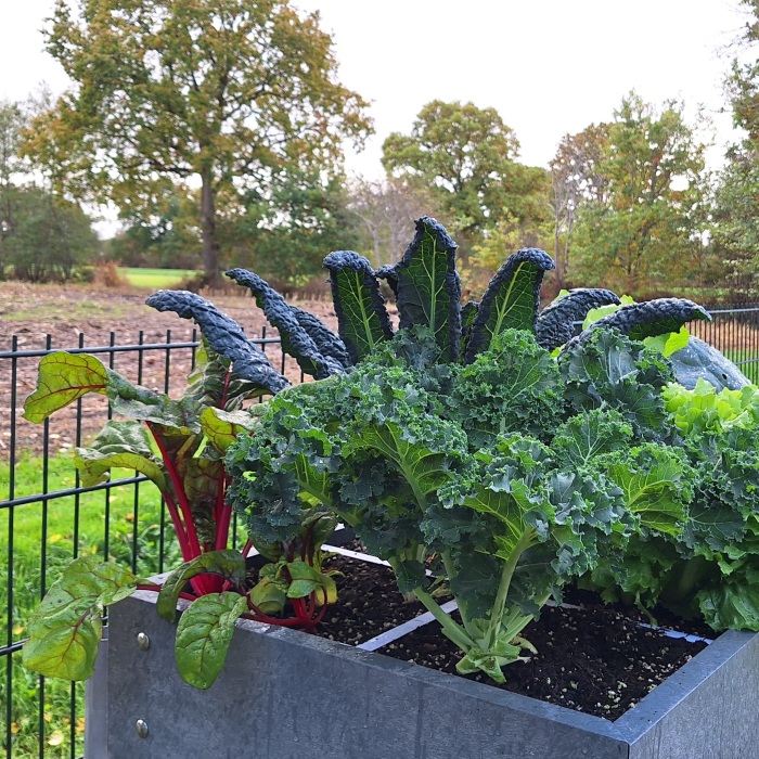 Herfst: oogsten, opruimen, én genieten