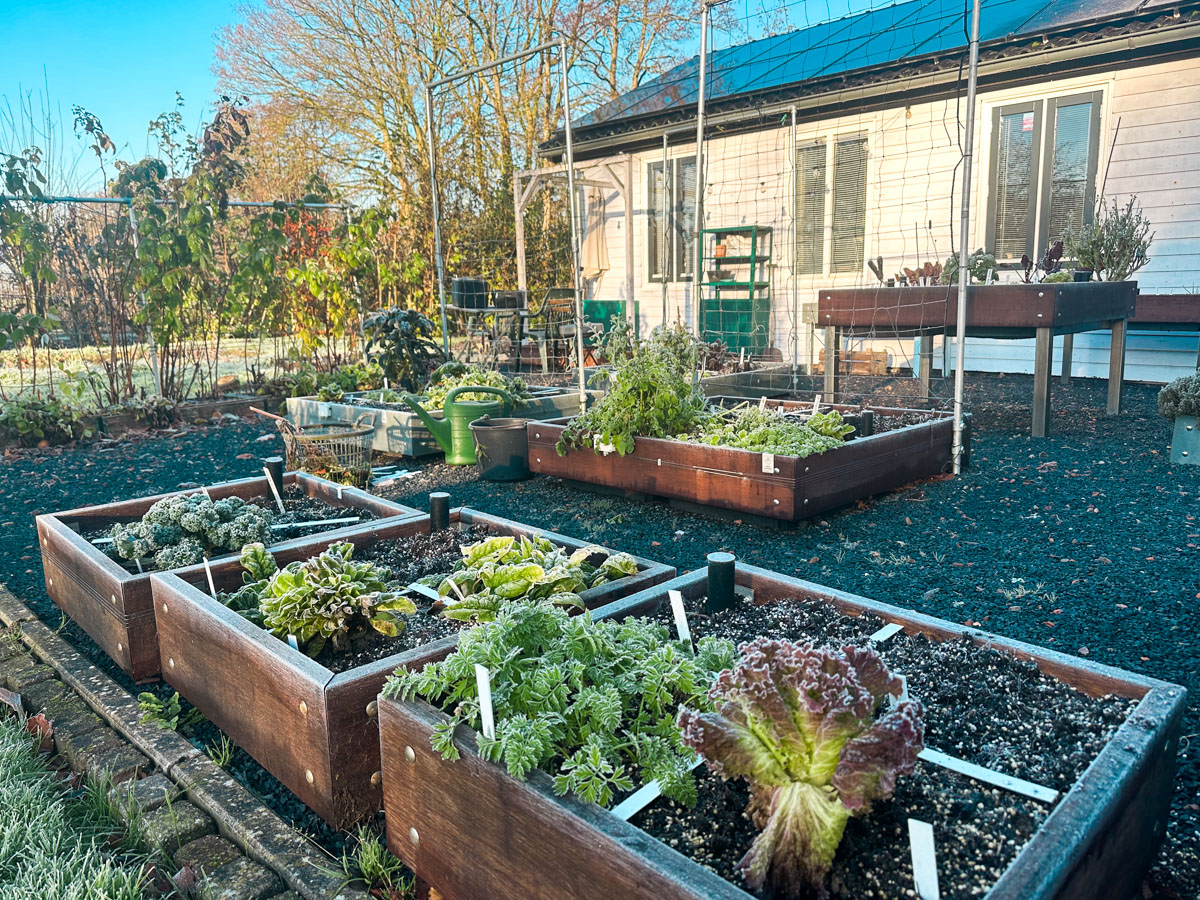 De kantoortuin van de Makkelijke Moestuin in Den Andel -eind november