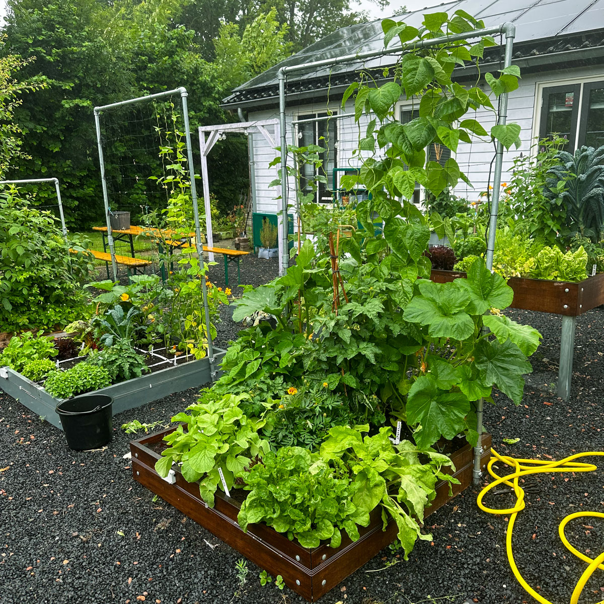 Makkelijke Moestuinbakken mét schrikdraad tegen slakken. 