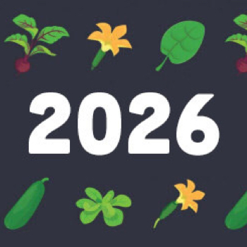 thumb:2026.jpg