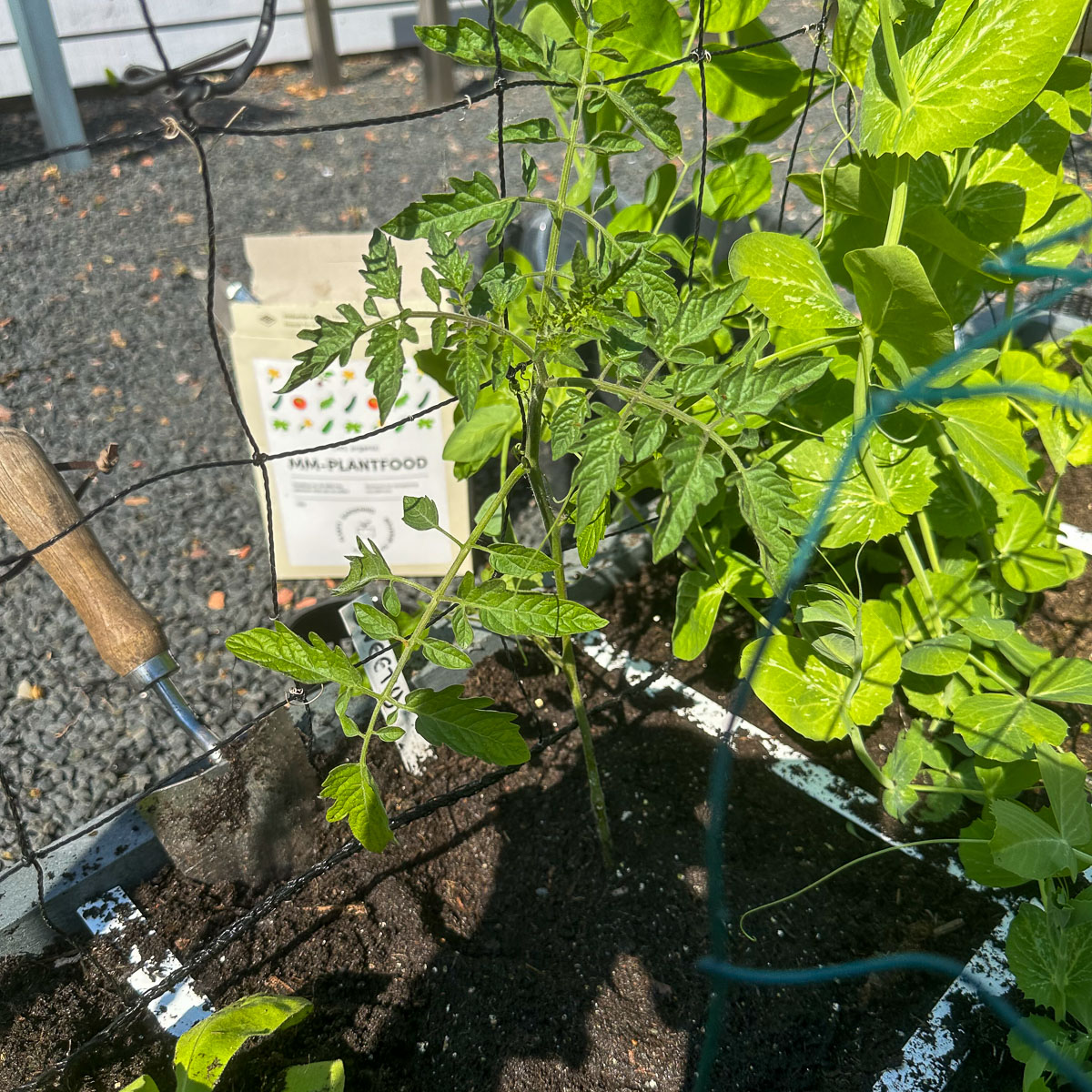 De enige voeding die al je planten in een Makkelijke Moestuin nodig hebben