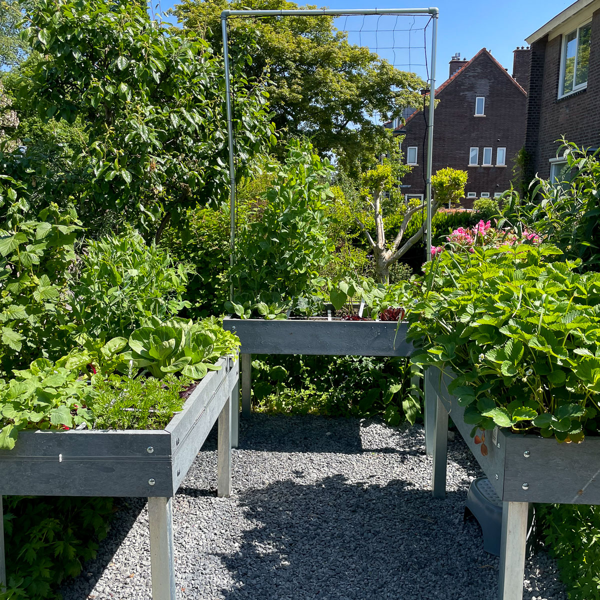 Bij Manja staan de Makkelijke Moestuinbakken in de voortuin