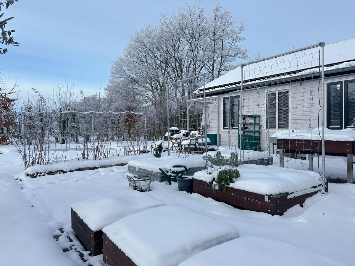 Januari in de Makkelijke Moestuin: een dik pak sneeuw