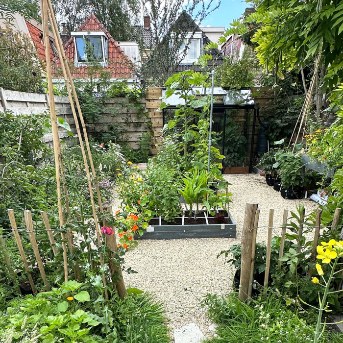 De beste plek voor je moestuinbakken