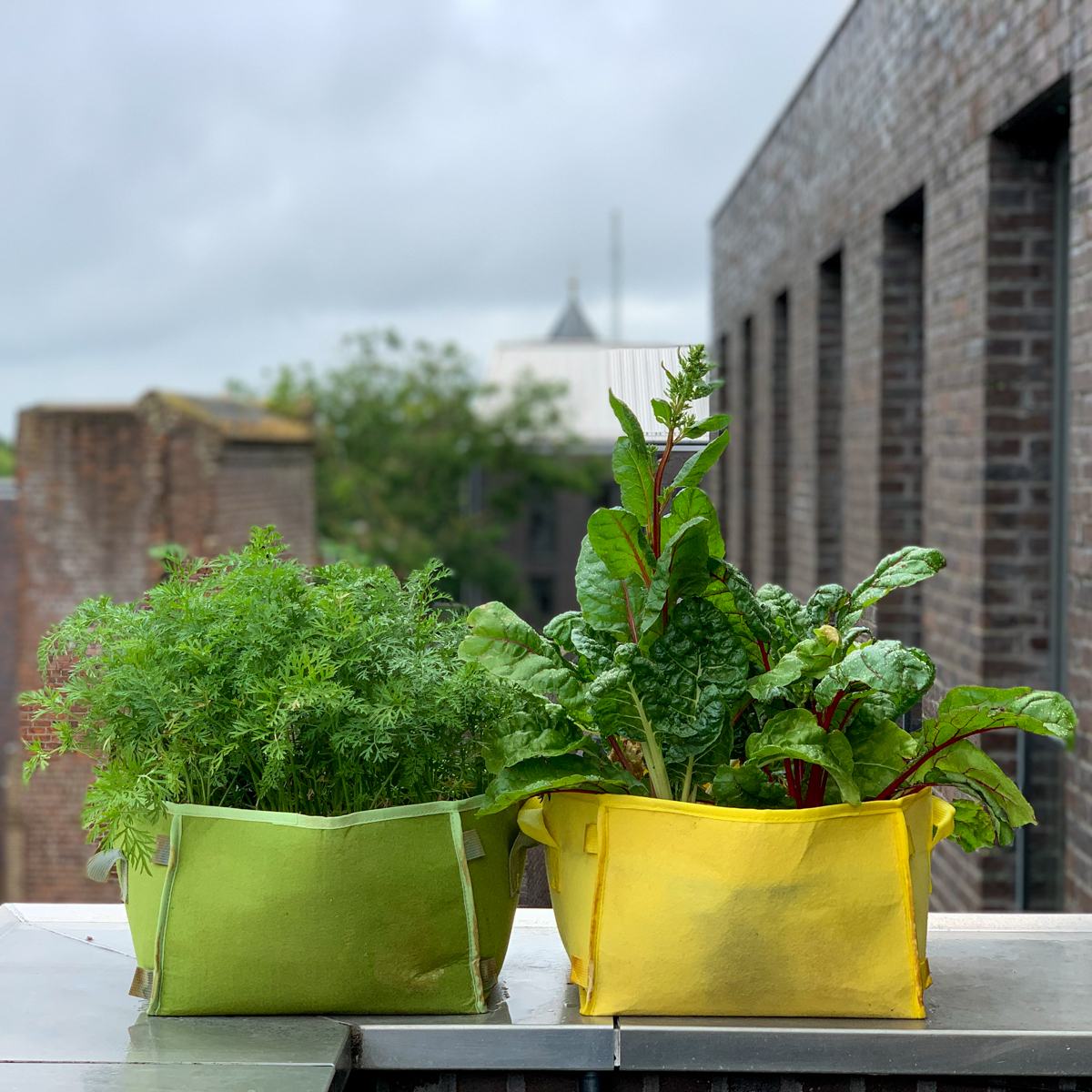 2 Makkelijke Moestuin-mini's op de rand van een balkon