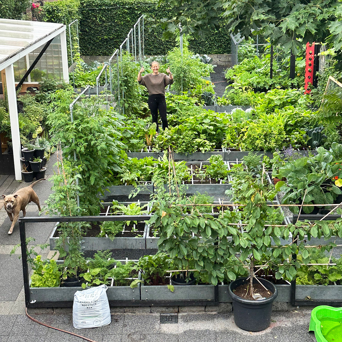 De productietuin van Groenbietje