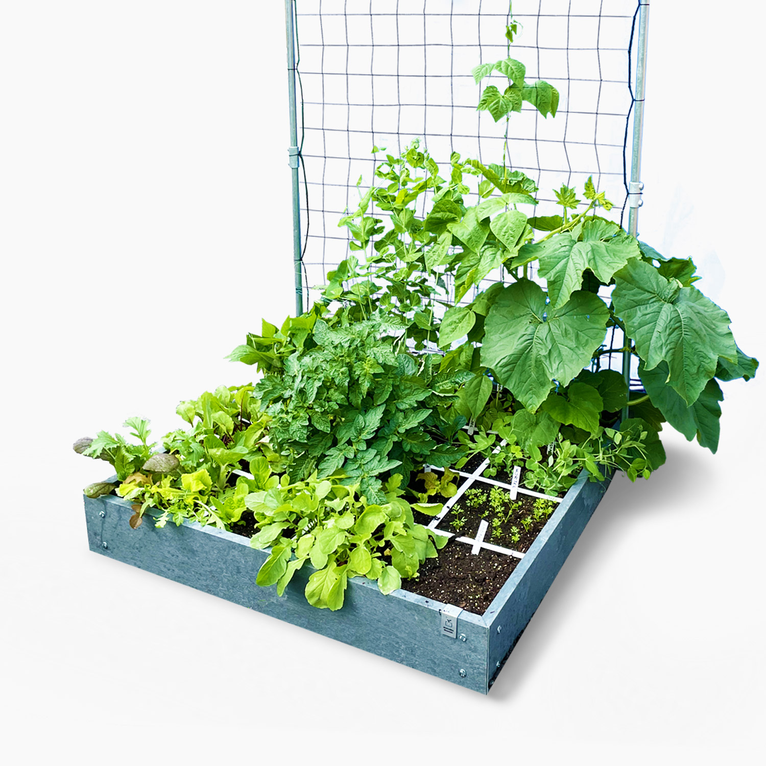 16-vaks Makkelijke Moestuin-herobak met klimrek