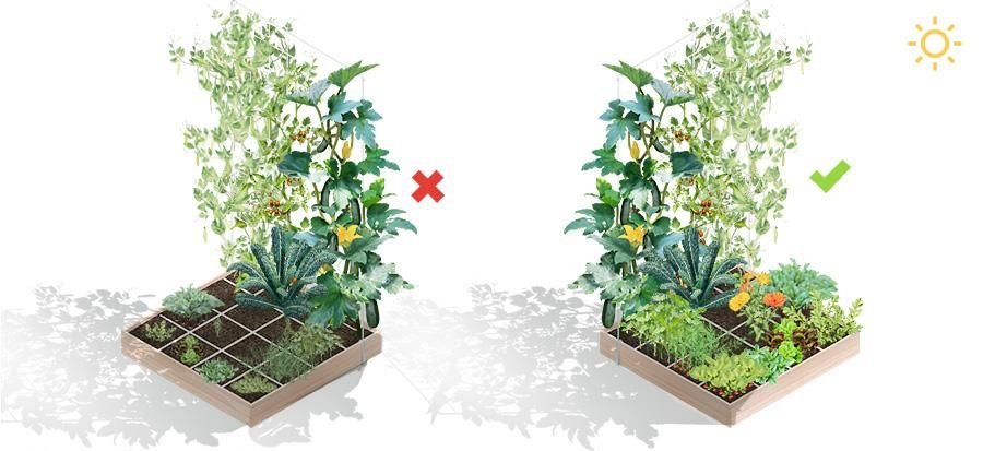 Een klimrek op een Makkelijke Moestuinbak zet je altijd aan de noordkant