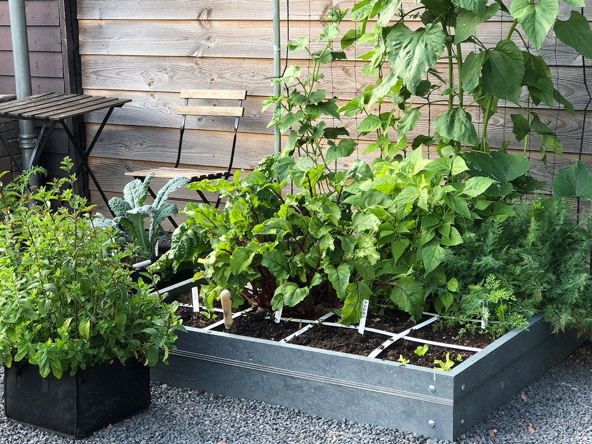 In een Makkelijke Moestuin zet je veel verschillende groentes in één moestuinbak