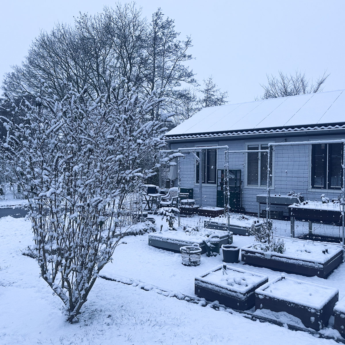 Sneeuw in de Makkelijke Moestuin op 16 februari