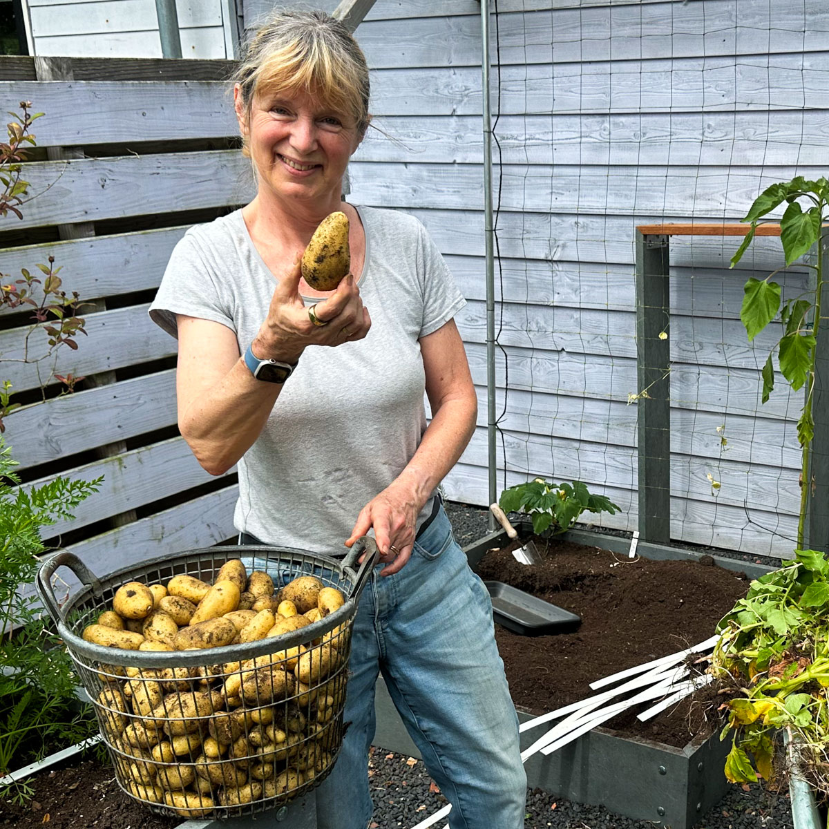 Hoe meer Annabel-aardappels, hoe beter!