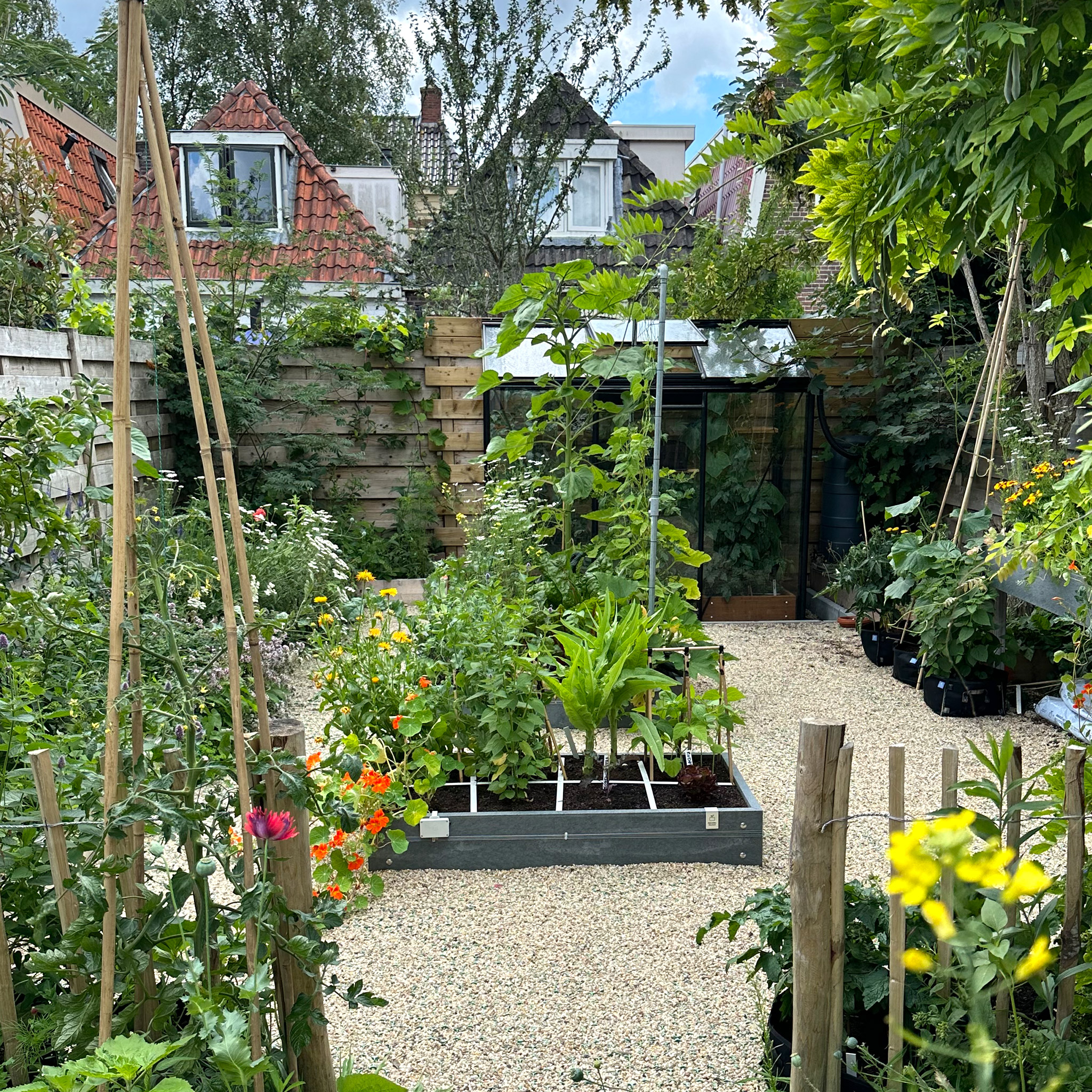 MM-hero 8 vakken (66x126 cm) - met waterreservoir