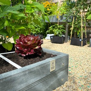 MM-hero 4 vakken (66x66 cm) - met waterreservoir