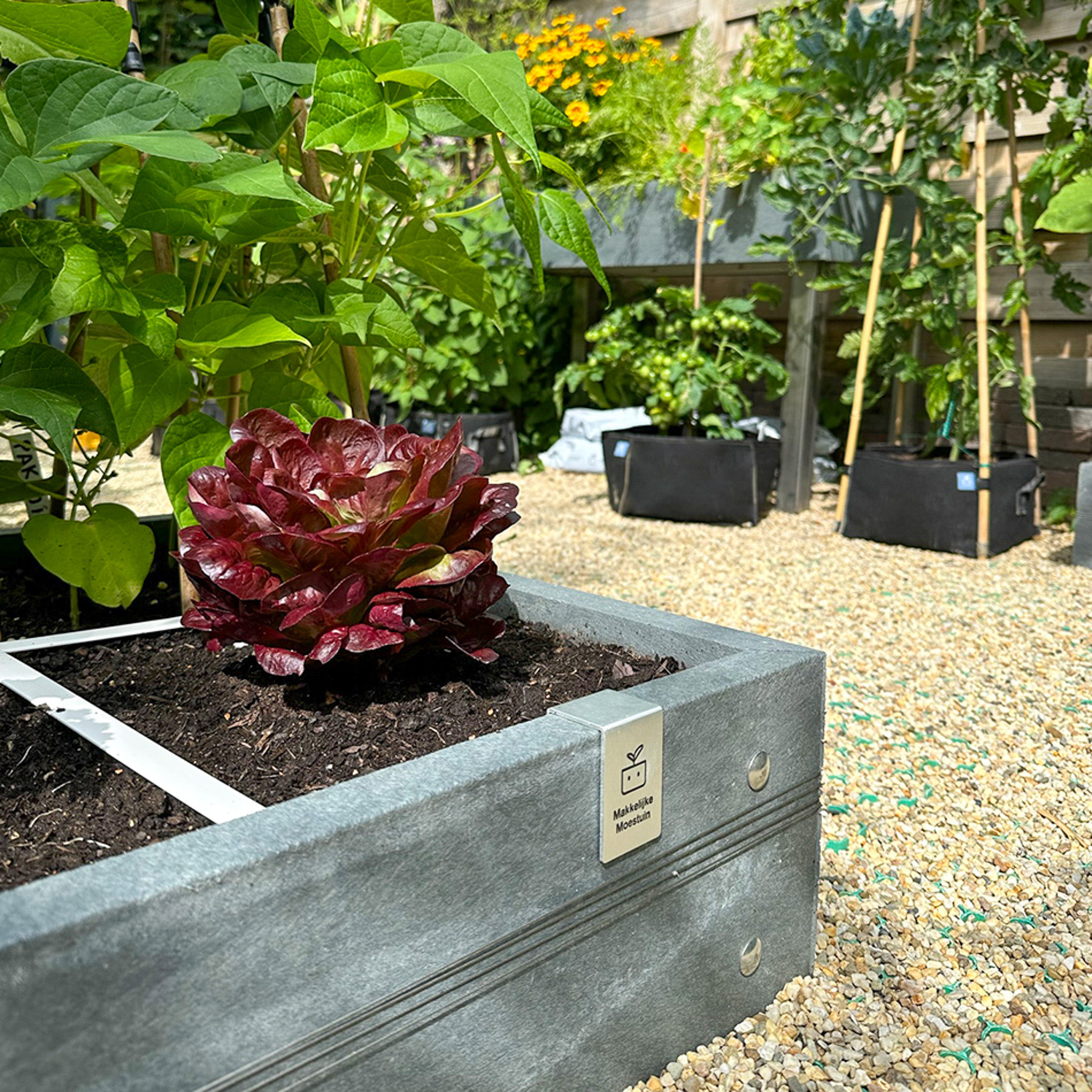 MM-hero 4 vakken (66x66 cm) - met waterreservoir