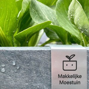 MM-hero 4 vakken (66x66 cm) - met waterreservoir