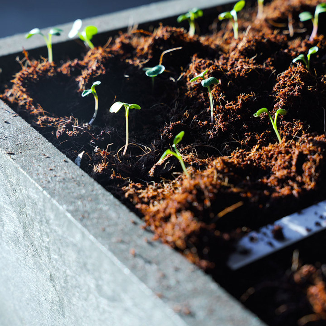 Makkelijke Moestuin Kokosmix 320L