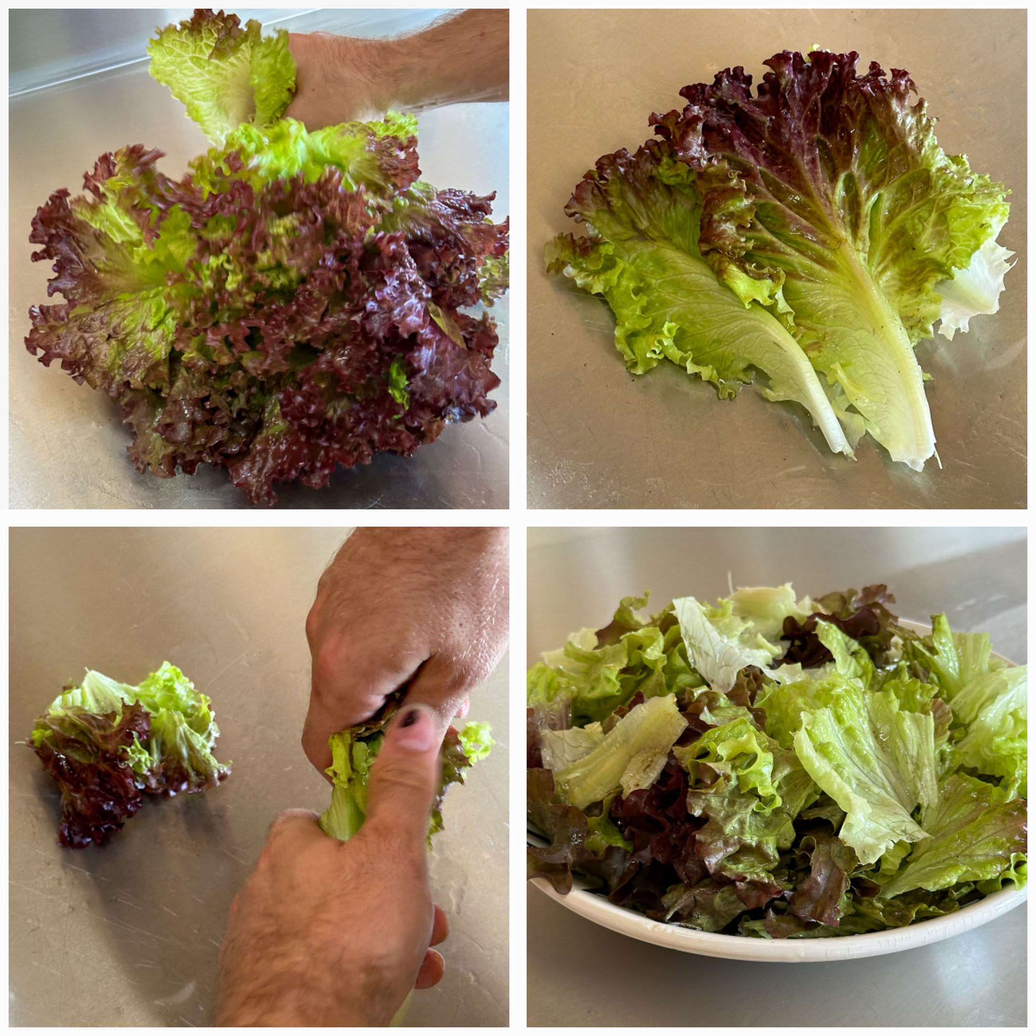 Met 3 grote bladeren van de Roodgroene pluksla vul je een hele slakom