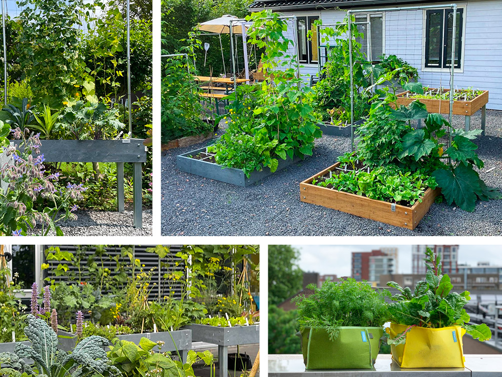 Vier verschillende Makkelijke Moestuinen: allemaal opgezet in een andere maand.