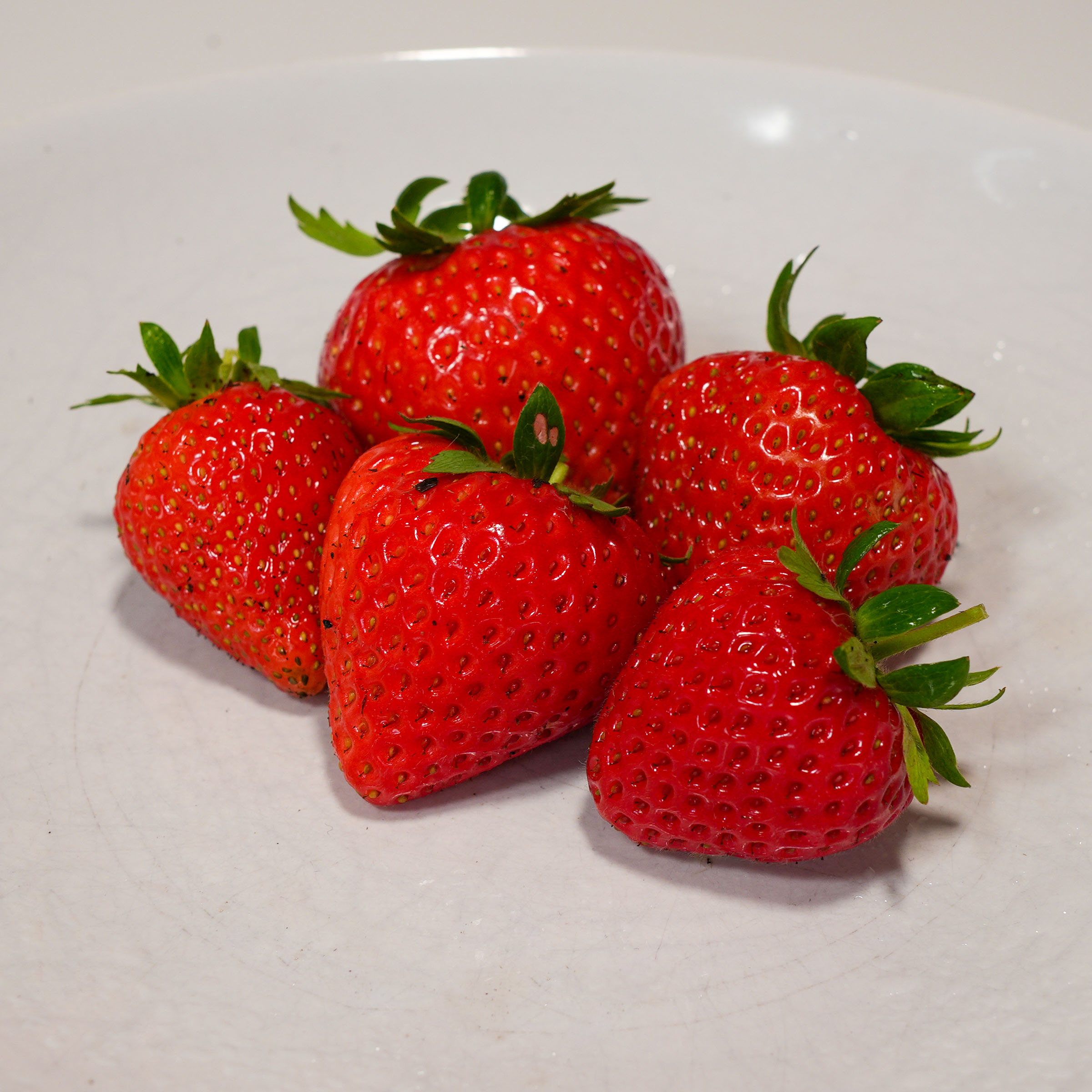 Favori aardbeien van de Makkelijke Moestuin