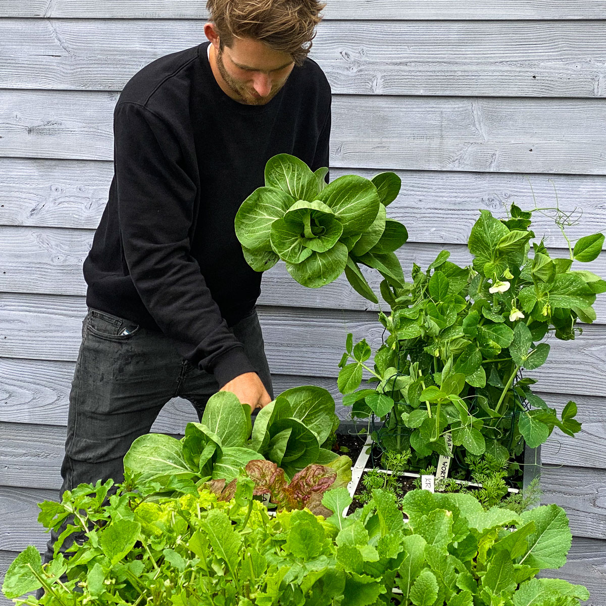 Half mei in de Makkelijke Moestuin