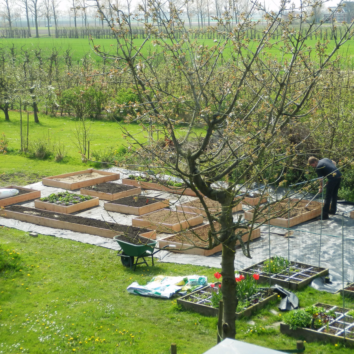 Eind april 2012: vullen van nieuwe moestuinbakken met Makkelijke Moestuinmix
