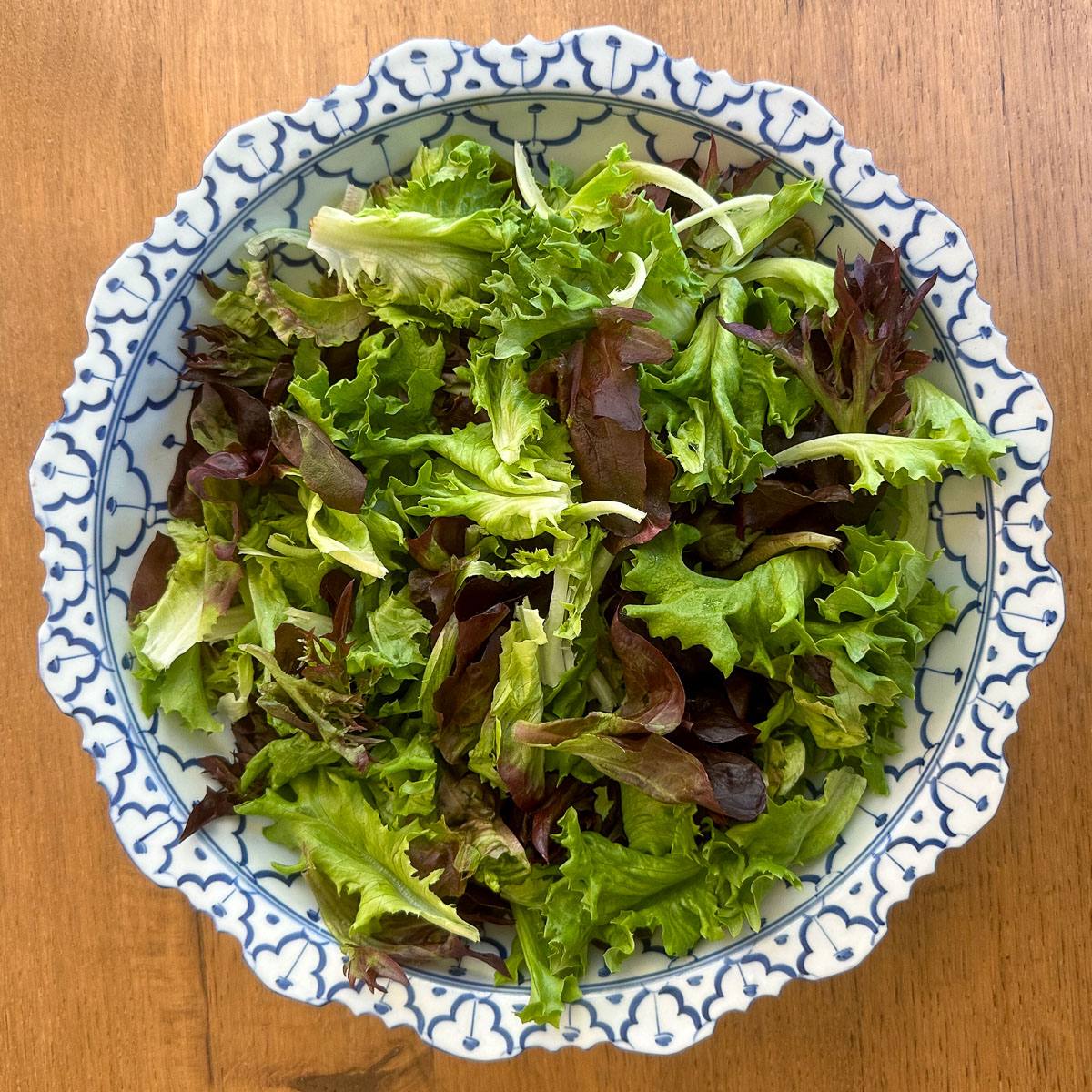 Salade van verschillende soorten Salanova pluksla
