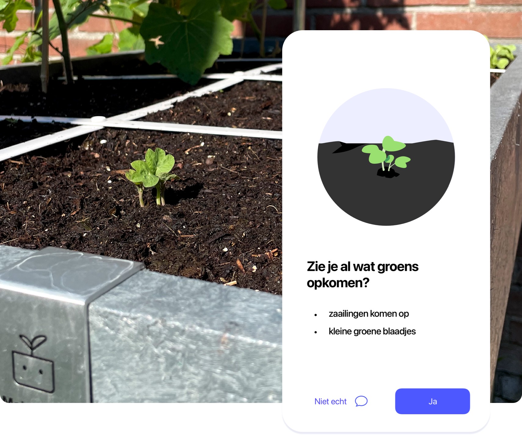 Moestuin beginnen met de Makkelijke Moestuin app