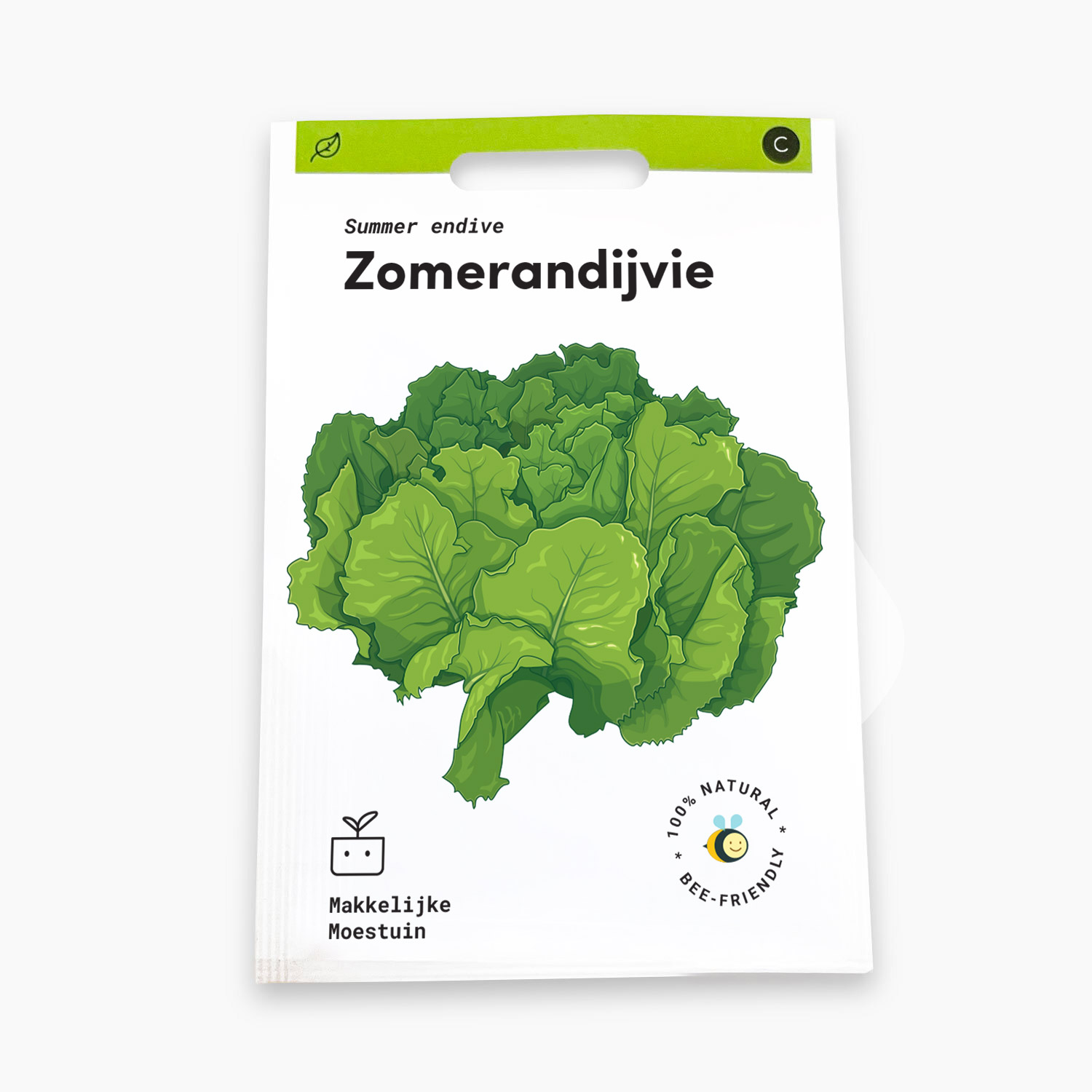Summer endive