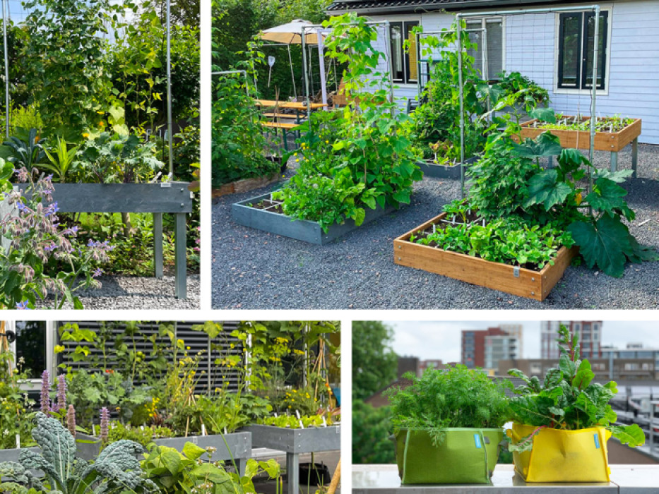 Kun je nog beginnen met een moestuin?