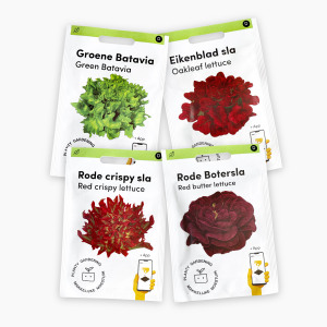 Salanova seed-starting kit