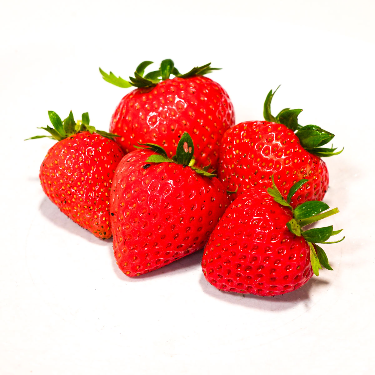 Vers geplukt: Favori aardbeien