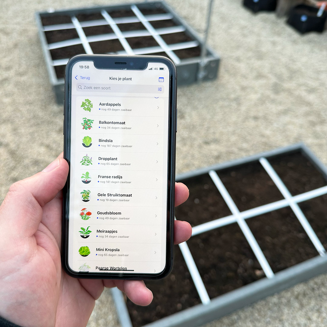 The easiest vegetables to start with in a Makkelijke Moestuin