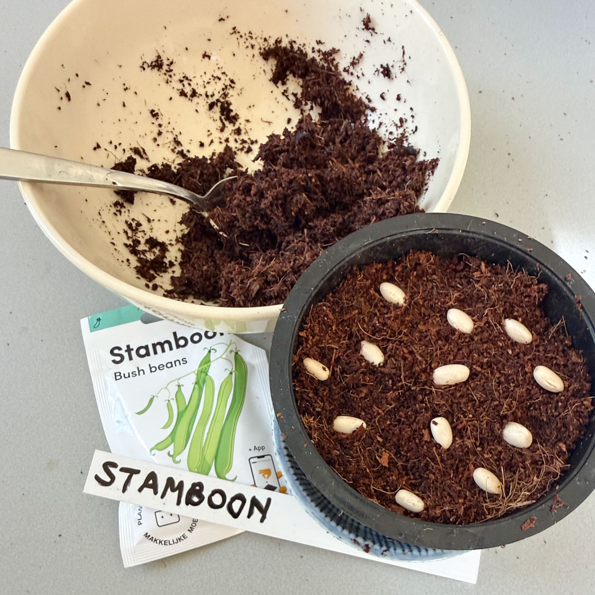 Bonen voorzaaien in potjes met Makkelijke Moestuin voorzaaimix