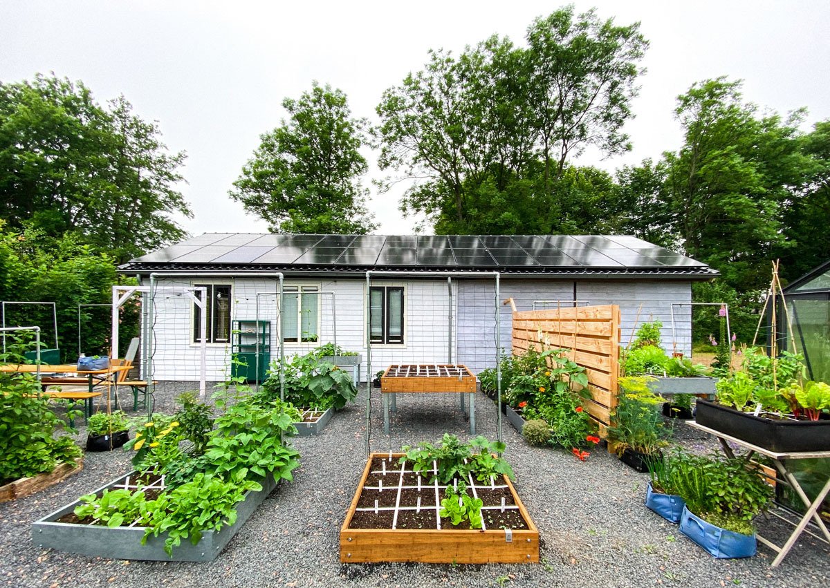 Moestuin starten in juni: helemaal leuk met lekker zomerweer 😀