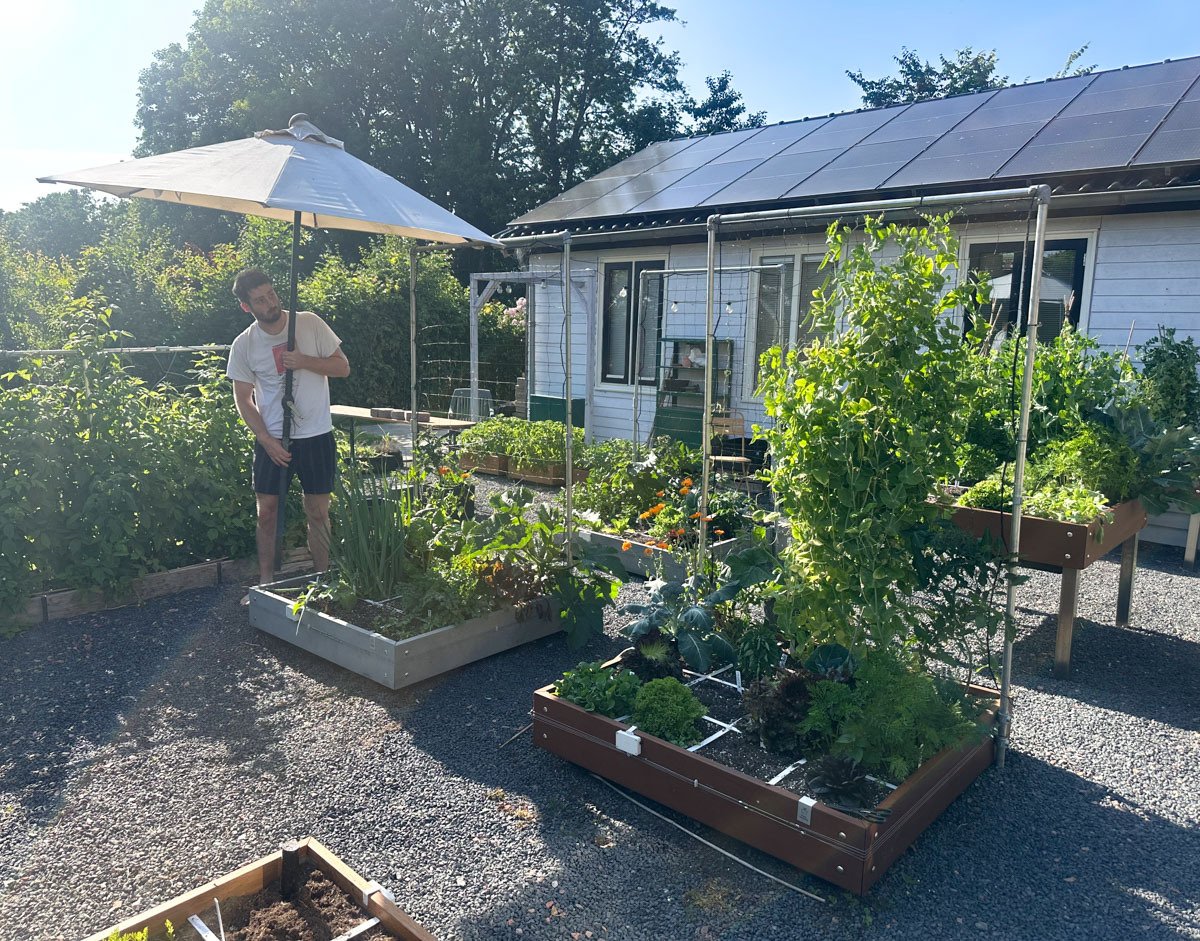 Op deze plek geeft de parasol weer wat schaduw aan de planten 