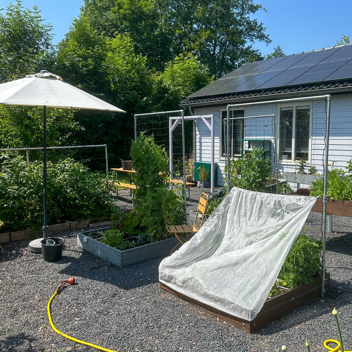 Geef je kwetsbare planten wat schaduw op het heetst van de dag