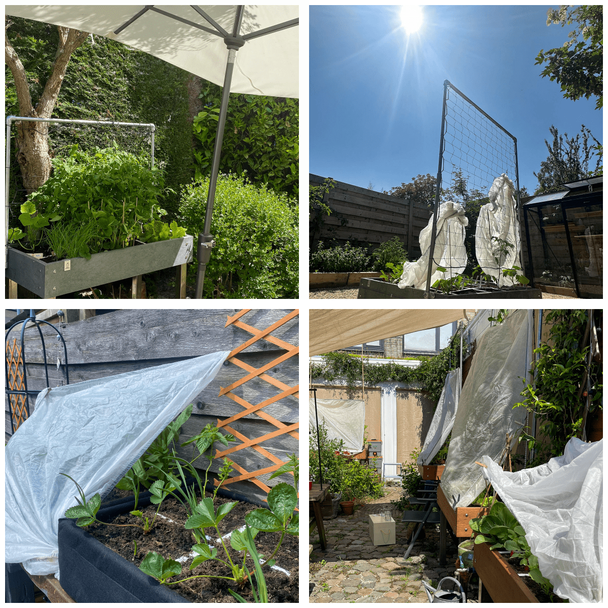 Schaduw-oplossingen van Makkelijke Moestuinders op de community
