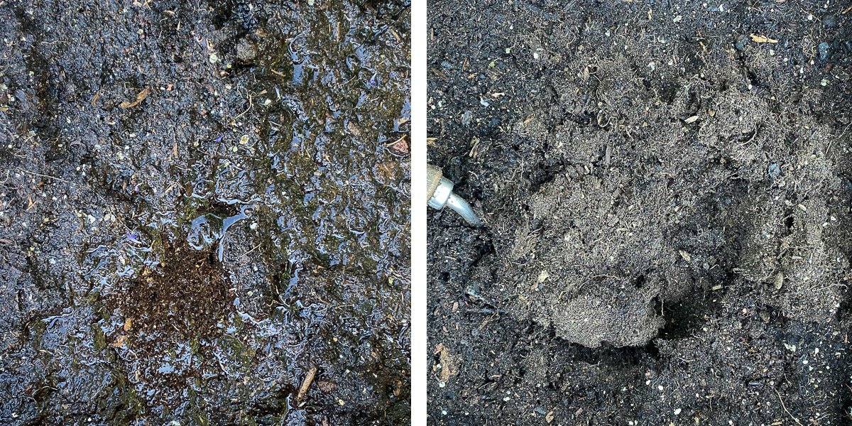 Mix lijkt kletsnat, maar is iets meer naar onder nog helemaal droog
