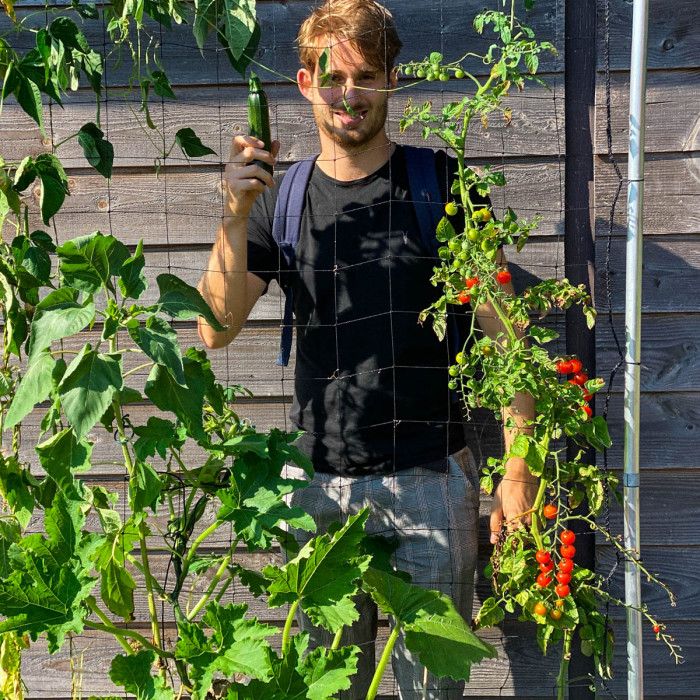 September: wat kan nog in je moestuin?