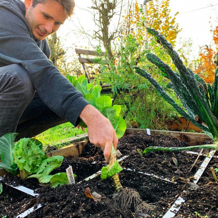 Is jouw moestuin al winterklaar?