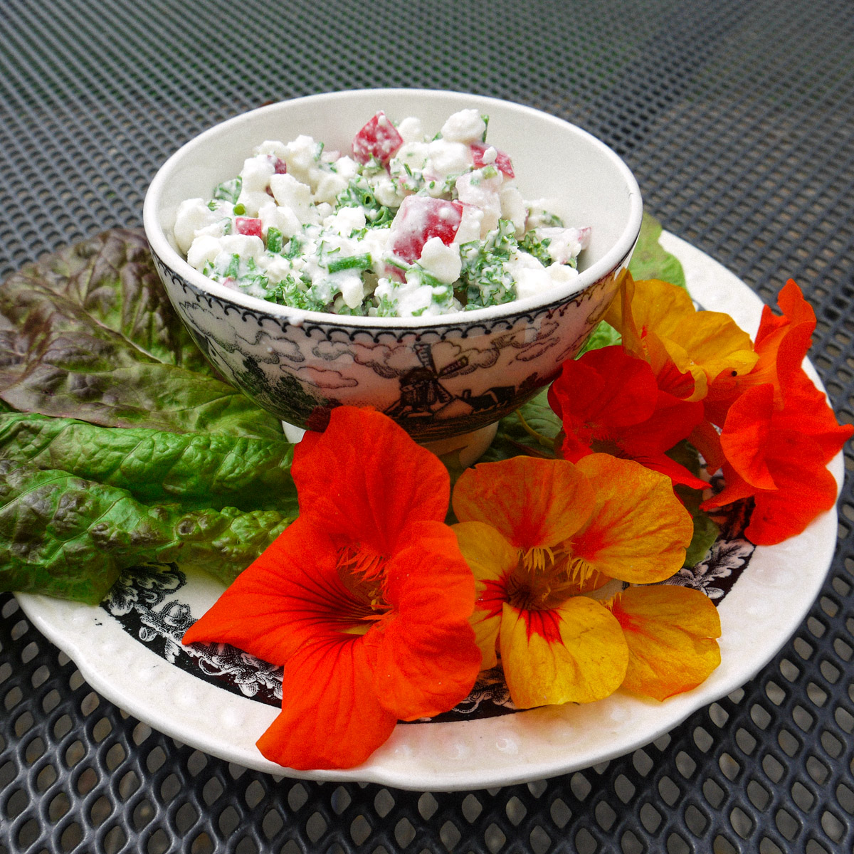 Cottage cheese met kruiden en radijs Makkelijke Moestuin